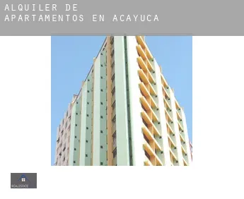 Alquiler de apartamentos en  Acayuca