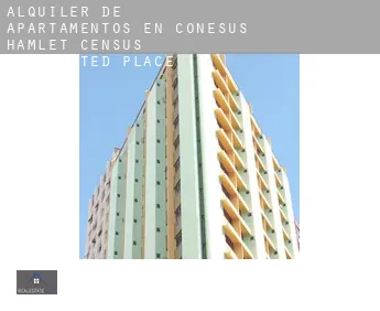 Alquiler de apartamentos en  Conesus Hamlet