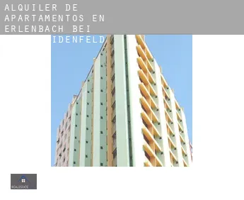 Alquiler de apartamentos en  Erlenbach bei Marktheidenfeld