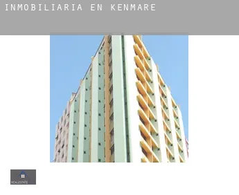 Inmobiliaria en  Kenmare