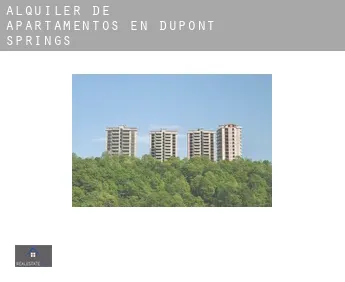 Alquiler de apartamentos en  Dupont Springs