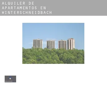 Alquiler de apartamentos en  Winterschneidbach