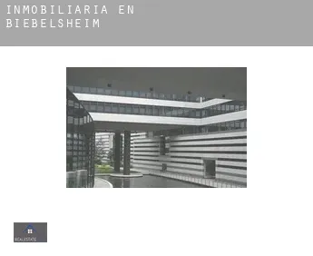 Inmobiliaria en  Biebelsheim