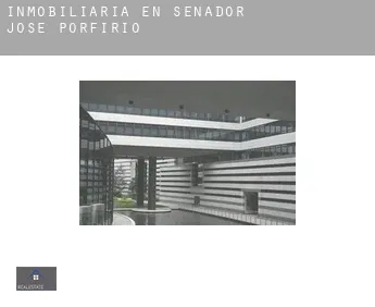 Inmobiliaria en  Senador José Porfírio