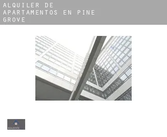 Alquiler de apartamentos en  Pine Grove