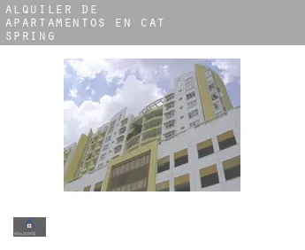 Alquiler de apartamentos en  Cat Spring
