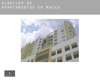 Alquiler de apartamentos en  Maceo