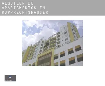 Alquiler de apartamentos en  Rupprechtshäuser