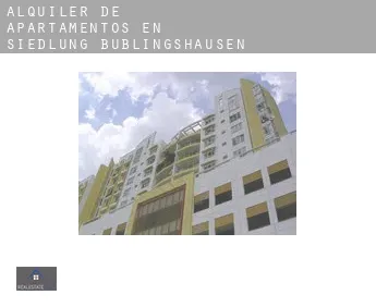 Alquiler de apartamentos en  Siedlung Büblingshausen