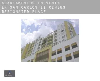 Apartamentos en venta en  San Carlos II