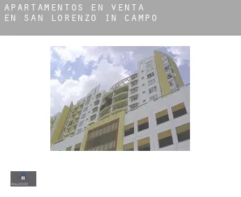 Apartamentos en venta en  San Lorenzo in Campo