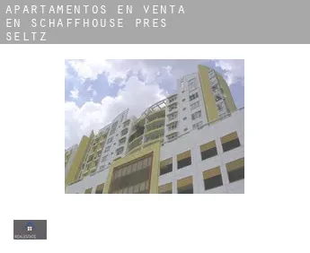Apartamentos en venta en Schaffhouse-près-Seltz