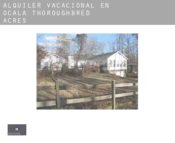 Alquiler vacacional en  Ocala Thoroughbred Acres