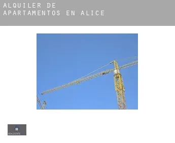 Alquiler de apartamentos en  Alice