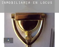 Inmobiliaria en  Locust