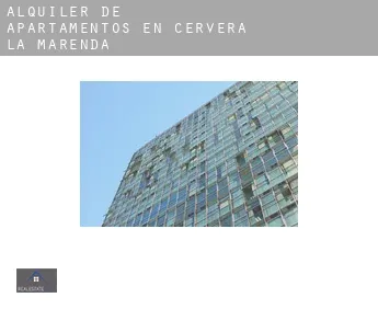 Alquiler de apartamentos en  Cervera de la Marenda