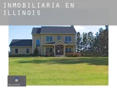 Inmobiliaria en  Illinois