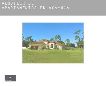 Alquiler de apartamentos en  Acayuca