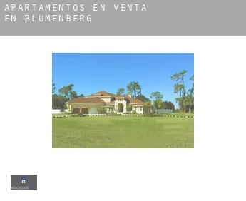 Apartamentos en venta en  Blumenberg