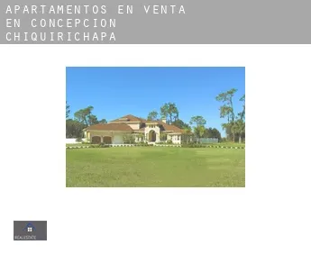 Apartamentos en venta en  Concepción Chiquirichapa