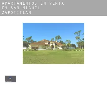 Apartamentos en venta en  San Miguel Zapotitlán