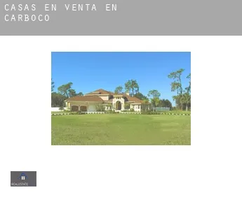 Casas en venta en  Carboco