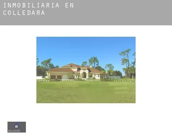 Inmobiliaria en  Colledara