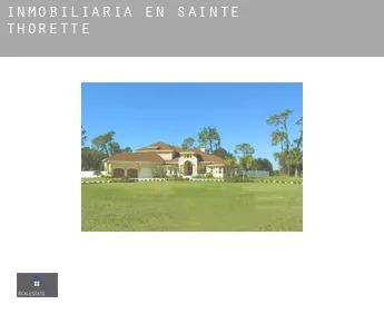 Inmobiliaria en  Sainte-Thorette