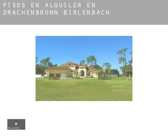 Pisos en alquiler en  Drachenbronn-Birlenbach