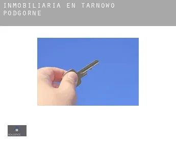 Inmobiliaria en  Tarnowo Podgórne