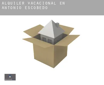 Alquiler vacacional en  Antonio Escobedo