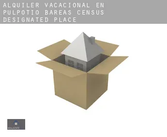 Alquiler vacacional en Pulpotio Bareas