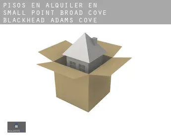 Pisos en alquiler en  Small Point-Broad Cove-Blackhead-Adams Cove