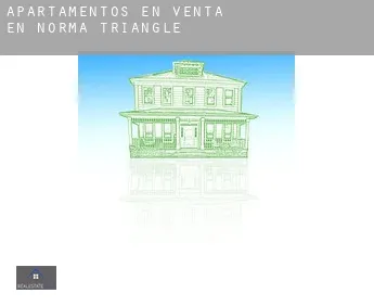 Apartamentos en venta en  Norma Triangle