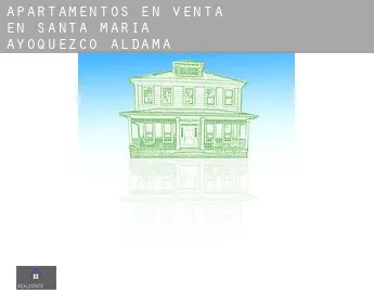 Apartamentos en venta en  Santa María Ayoquezco de Aldama