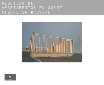 Alquiler de apartamentos en  Saint-Pierre-la-Bruyère