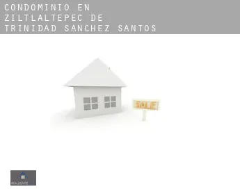 Condominio en  Ziltlaltépec de Trinidad Sánchez Santos