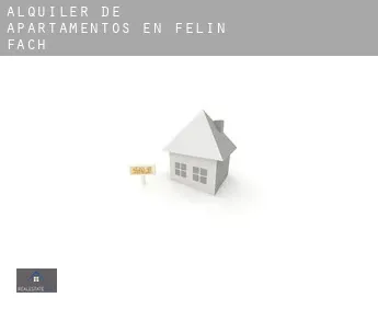 Alquiler de apartamentos en  Felin Fach