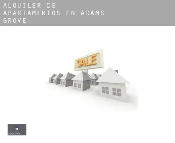 Alquiler de apartamentos en  Adams Grove