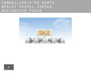 Inmobiliaria en  North Wesley Chapel