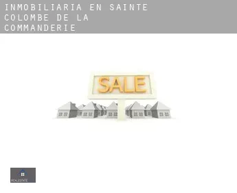 Inmobiliaria en  Sainte-Colombe-de-la-Commanderie