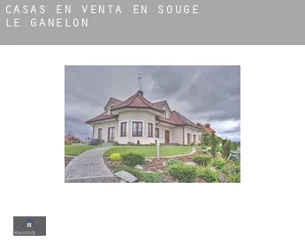 Casas en venta en  Sougé-le-Ganelon