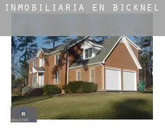 Inmobiliaria en  Bicknell