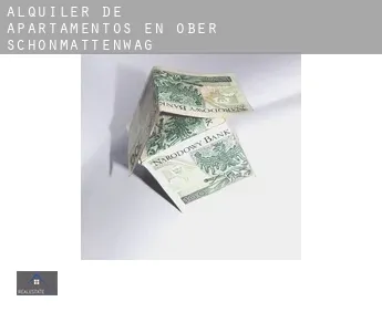 Alquiler de apartamentos en  Ober Schönmattenwag