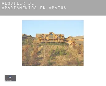 Alquiler de apartamentos en  Amatus