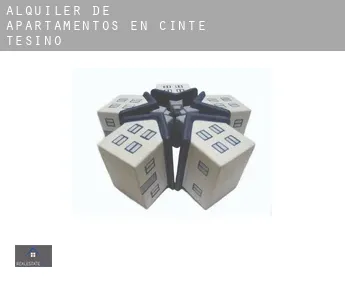 Alquiler de apartamentos en  Cinte Tesino