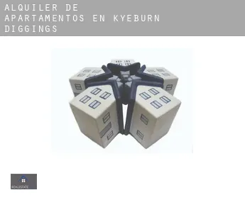 Alquiler de apartamentos en  Kyeburn Diggings