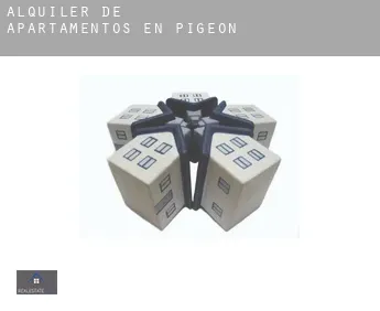 Alquiler de apartamentos en  Pigeon