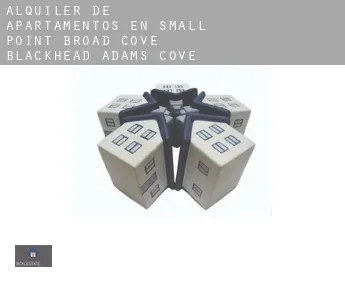 Alquiler de apartamentos en  Small Point-Broad Cove-Blackhead-Adams Cove