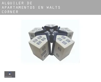 Alquiler de apartamentos en  Walts Corner